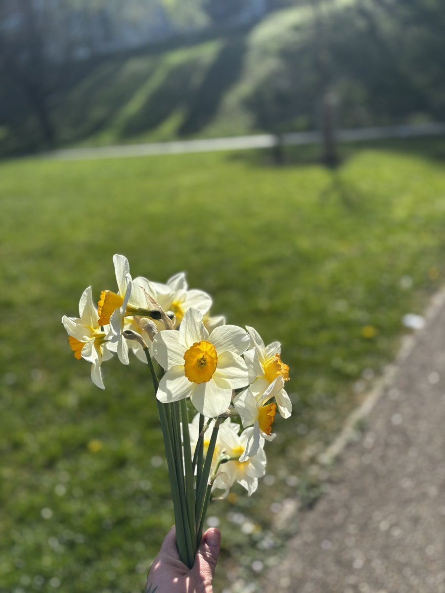Nature walks 🌳 Sometimes all you need is a little walk to take a break &amp; refresh your mind 💫 #psychology #mindset #nature #grounding #student #vitaminD
