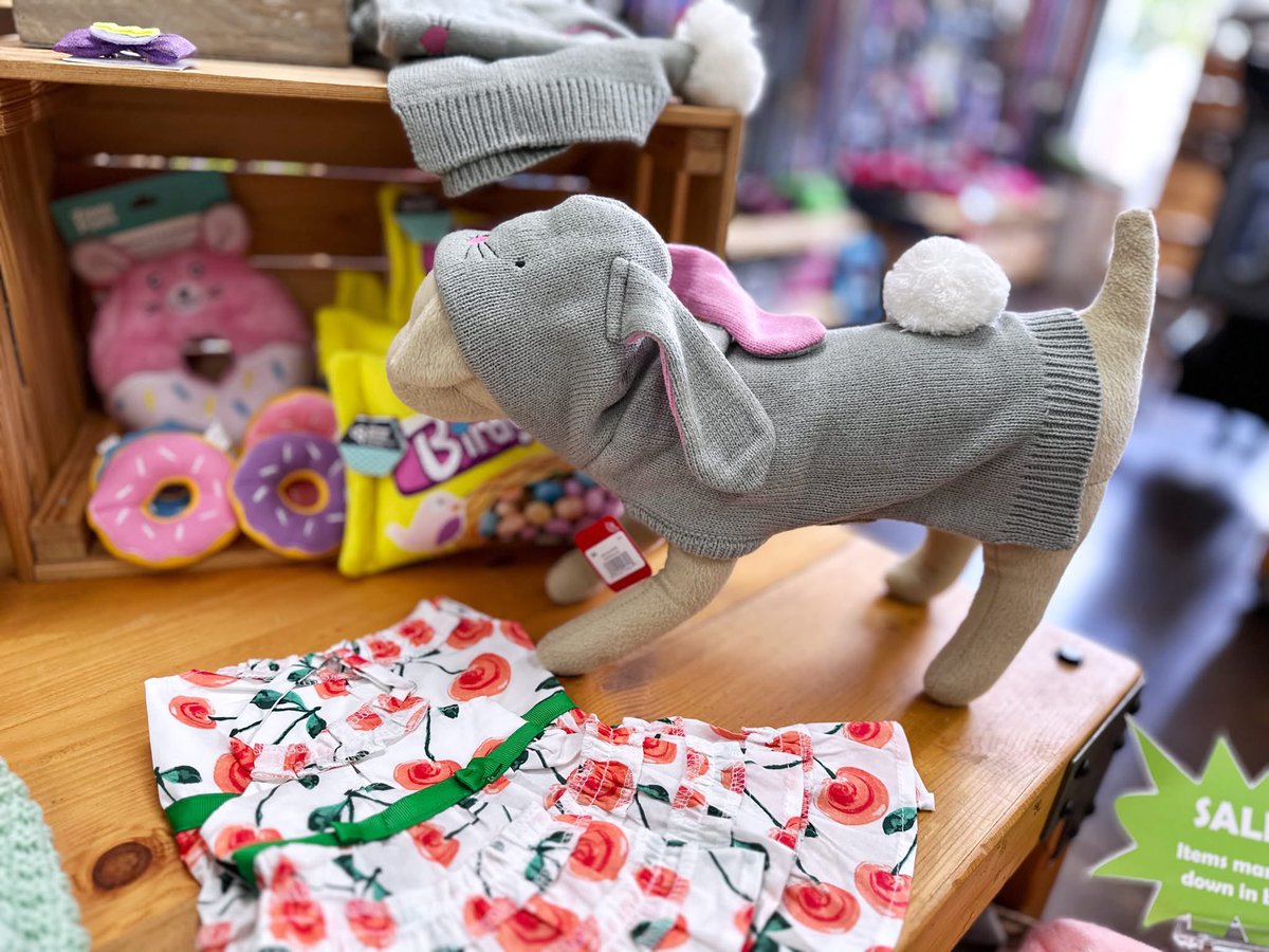 HalasPaws's tweet photo. Easter is almost here &amp; this Bunny Dog Sweater is as cute as it is comfy! Made from soft double-knit acrylic with a pullover, sleeveless design that’s easy to slip on &amp; go, with a handy opening on the back for leash access. Shop: https://t.co/5fj0Axmftv #NationalPetDay https://t.co/7Jz4kiTKvg
