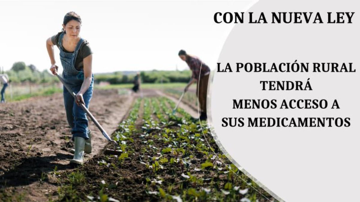 Rocio De la torre tweet media