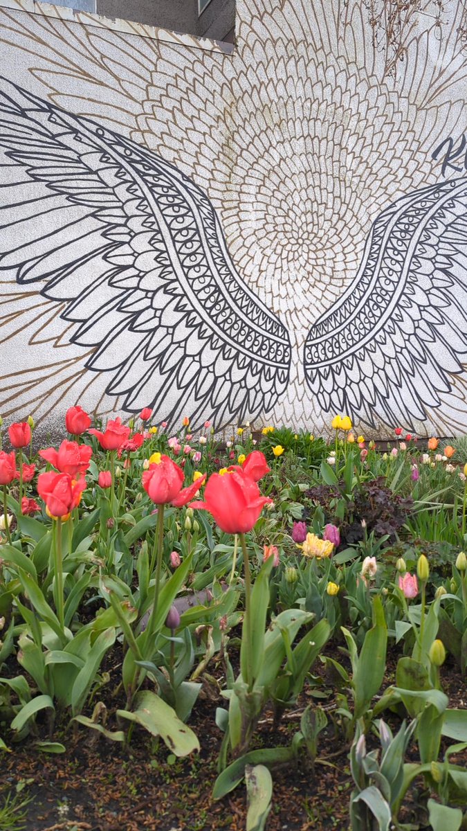 ccie found #cubiecoin in a Blue vault at this location! Join me playing #cubieverse, It's awesome!   #2699795