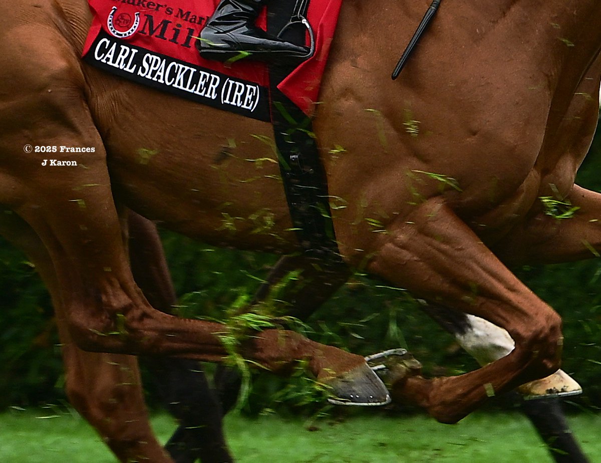 francesjkaron's tweet photo. It was all fan favorite Carl Spackler (Lope de Vega) in the G1 Maker's Mark Mile. Flavien Prat was up on e Five Racing's 5yo, who was making his 2025 debut. It's Carl's second G1 win at Keeneland and third overall. https://t.co/wSjub4oh2r