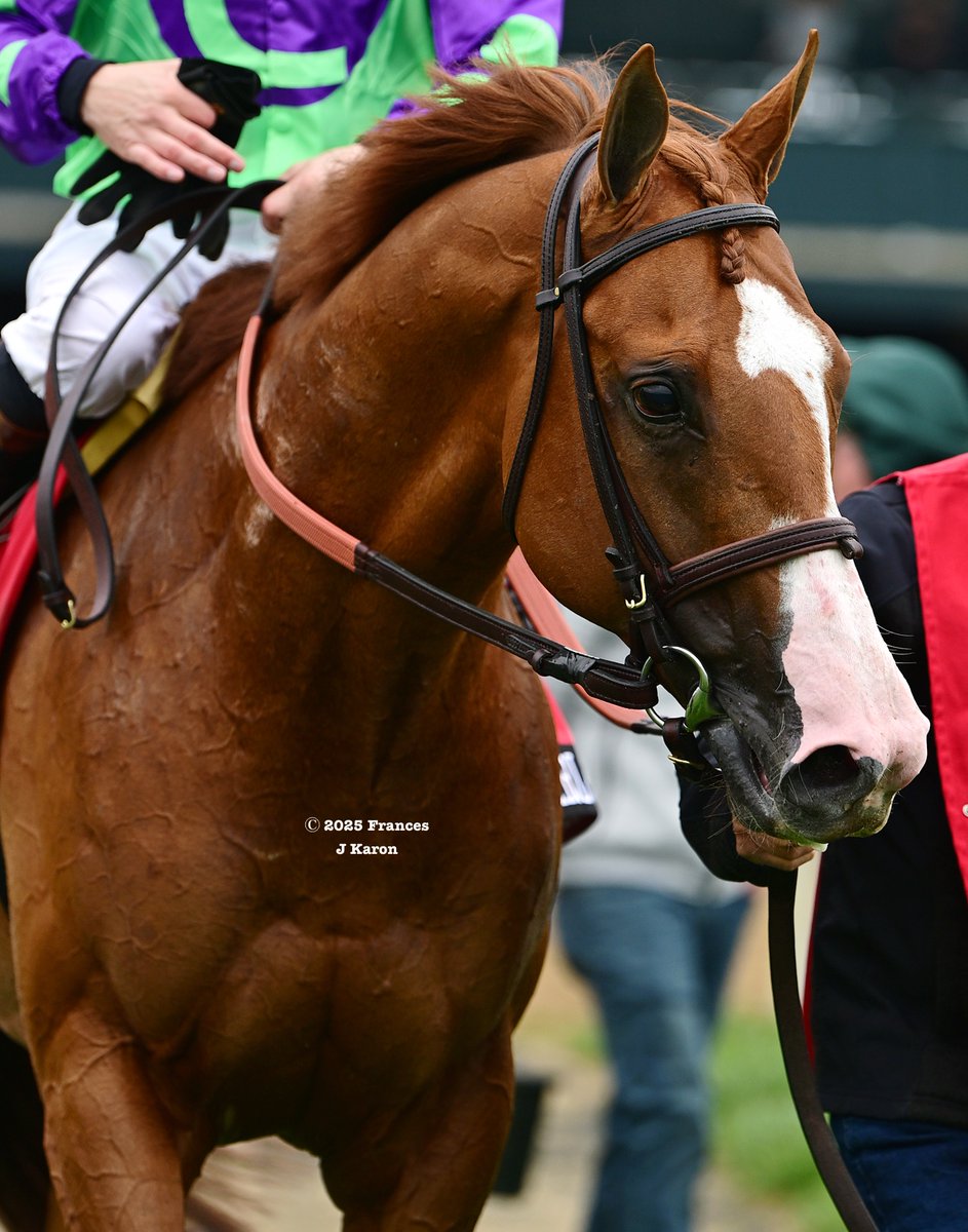 francesjkaron's tweet photo. It was all fan favorite Carl Spackler (Lope de Vega) in the G1 Maker's Mark Mile. Flavien Prat was up on e Five Racing's 5yo, who was making his 2025 debut. It's Carl's second G1 win at Keeneland and third overall. https://t.co/wSjub4oh2r
