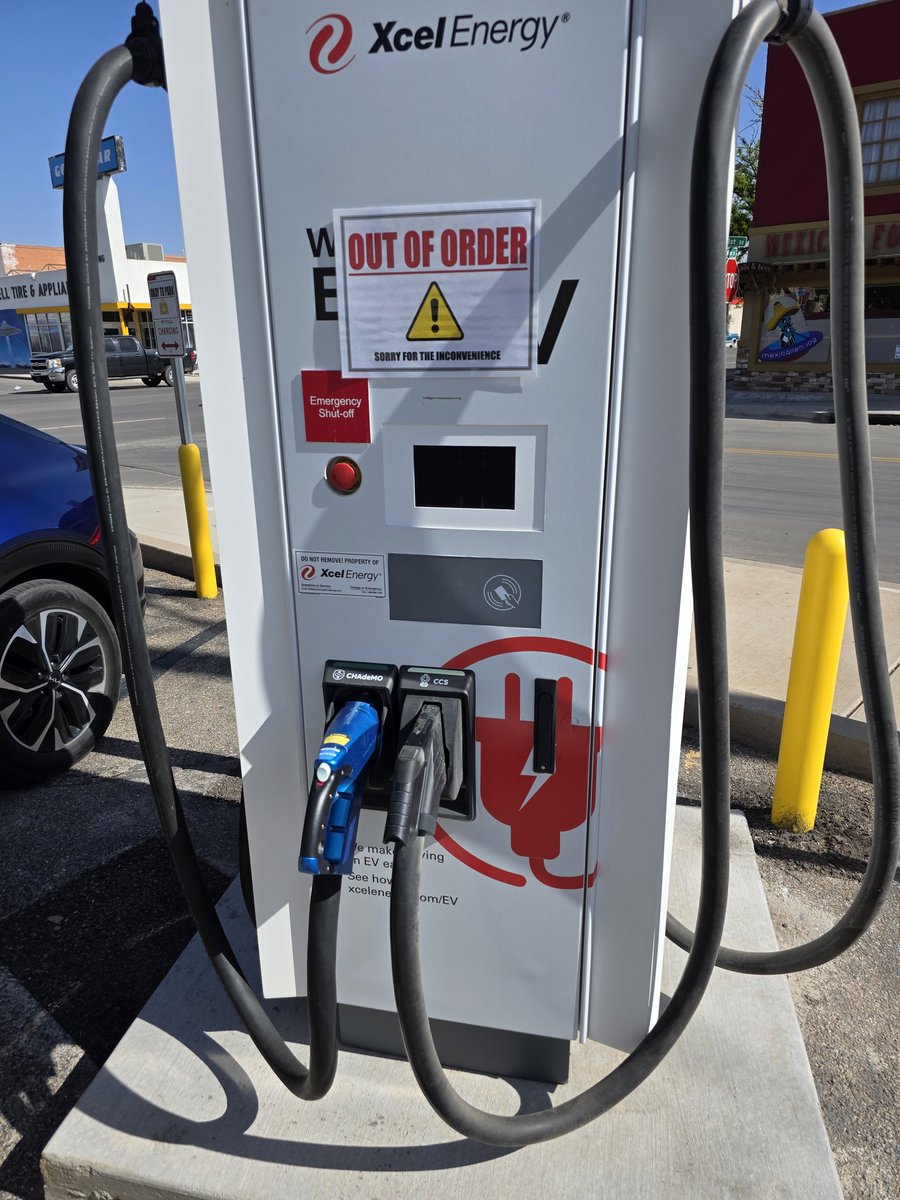 ArtiePenguin1 tweet media