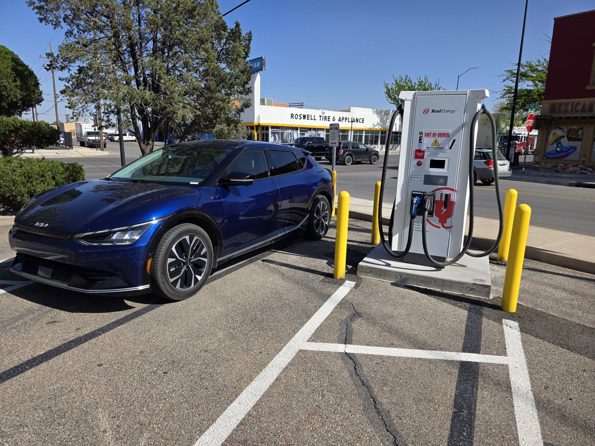 ArtiePenguin1 tweet media