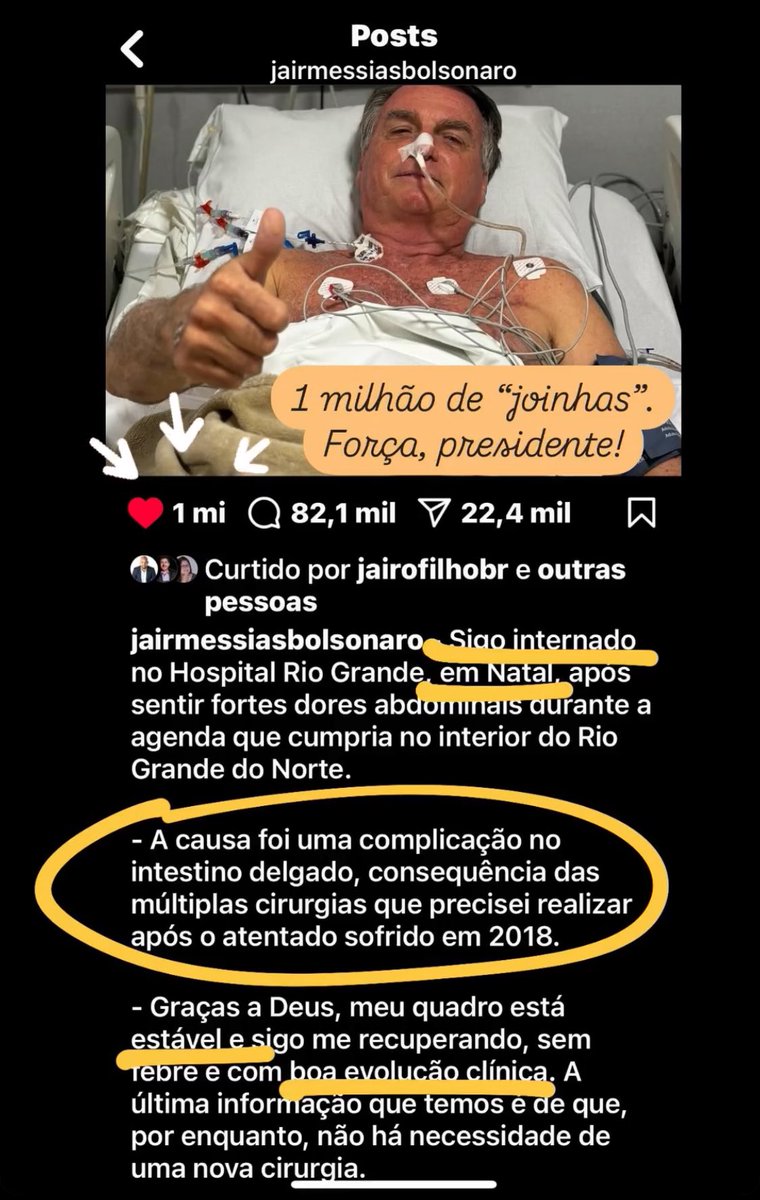 Cristina Graeml tweet media