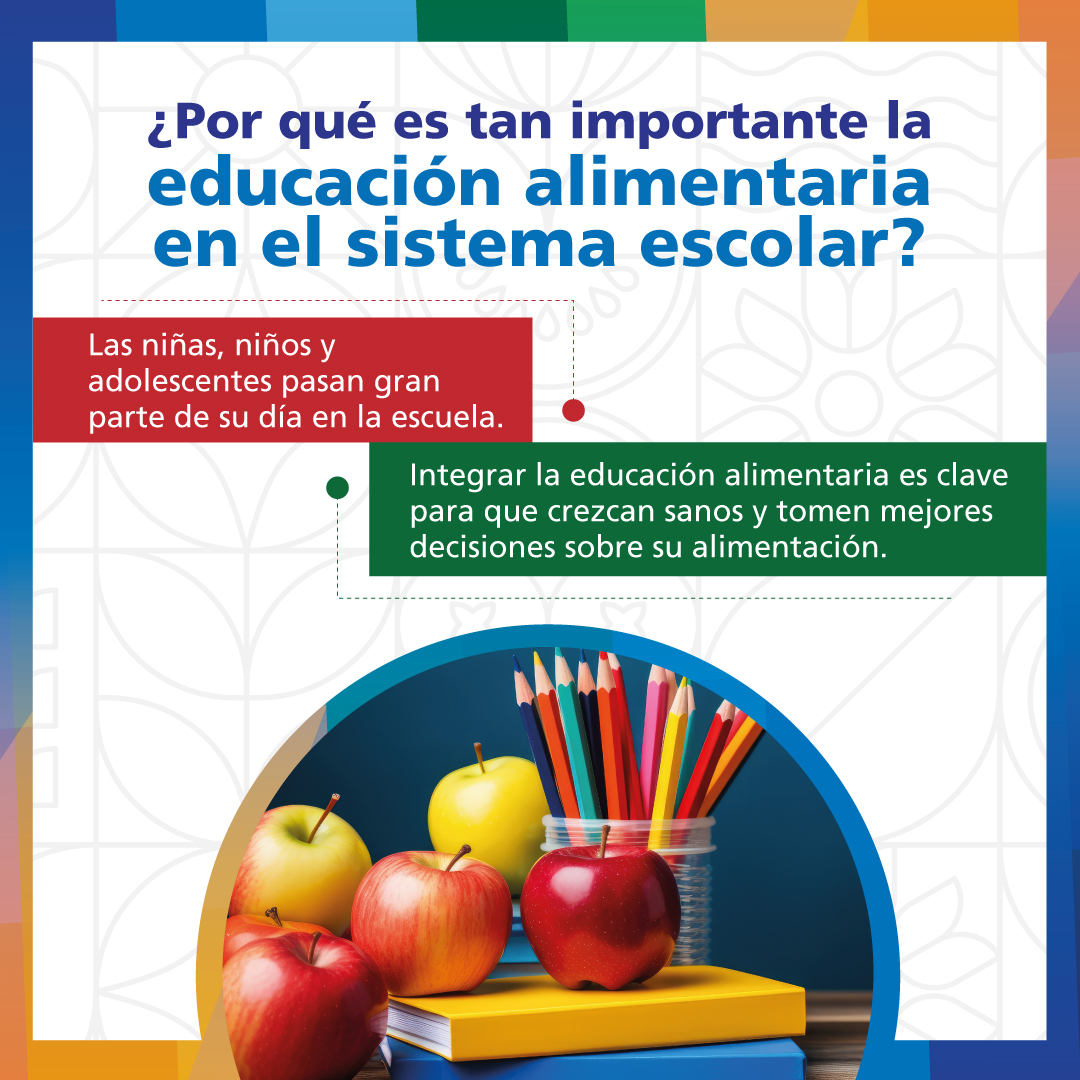 alsanna_'s tweet photo. Las escuelas deben convertirse en espacios clave para enseñar a niñas, niños y adolescentes a alimentarse mejor. En #ALSANNA también trabajamos para impulsar la educación alimentaria en los entornos escolares.  Conócenos y sé parte de esta misión https://t.co/83kDcMK8Ig https://t.co/uhJuvFhMJW