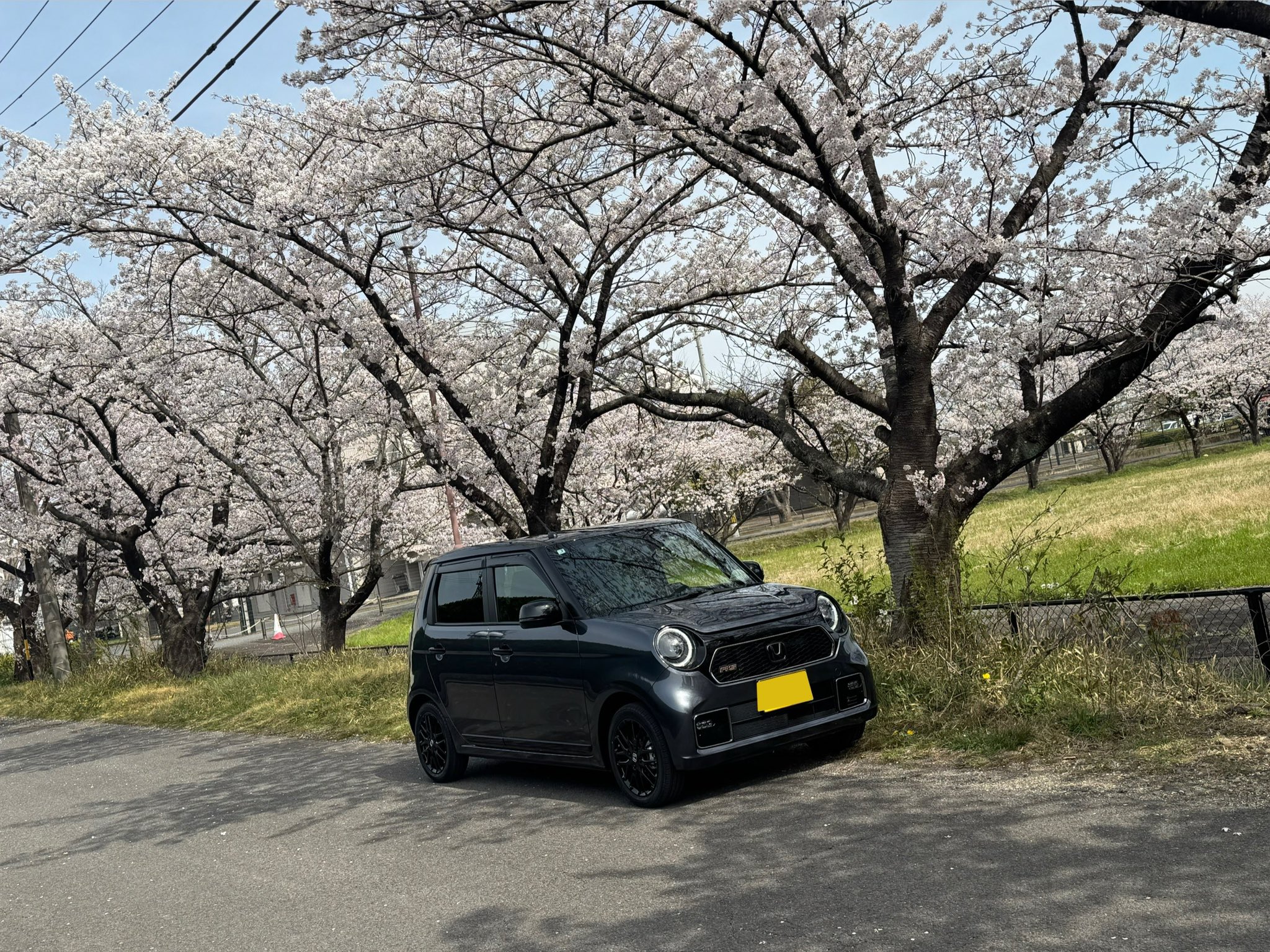 ありたろす ALL STAR RH Z HI / オールスター RH Z HI (ブラック