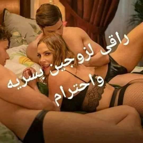 مين يريد فحل يمني جاد وصادق