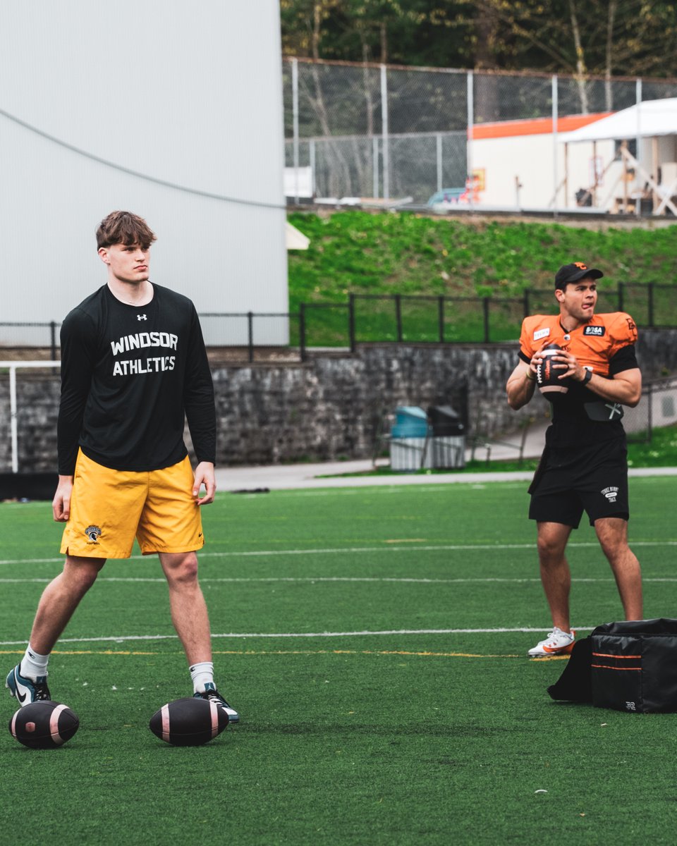 BC LIONS tweet media