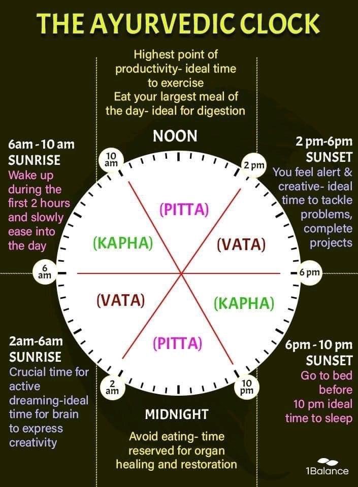 vaidic_1's tweet image. THE AYURVEDIC CLOCK ⏰
Kapha Time | 6 AM – 10 AM

DOs:

Wake up early

Morning routine (cleansing, self-care)

Meditation &amp;amp; mindfulness

Gentle exercise or yoga

Light, warm breakfast

Grounding, nurturing activities