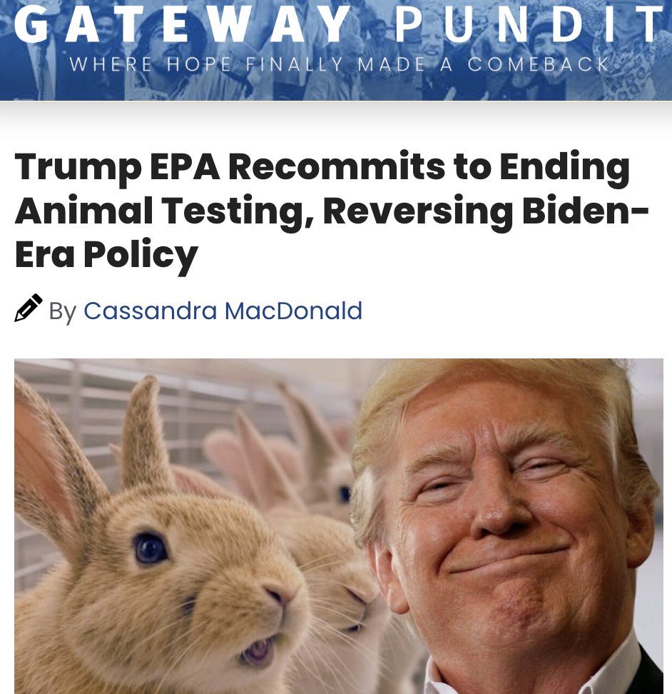 PhaedraXTeddy's tweet photo. Guess who may be the greatest #AnimalRightsAdvocate of all time? Old fashioned, pointless animal torture will be replaced with 21st century technology that provide answers that actually apply to humans. 🇺🇸 @POTUS #DonaldTrump made #StopAnimal Testing a priority during his first term. However, #Biden administration halted progress on banning animal testing. Now, #Trump’s EPA wants to get that original effort back on track!