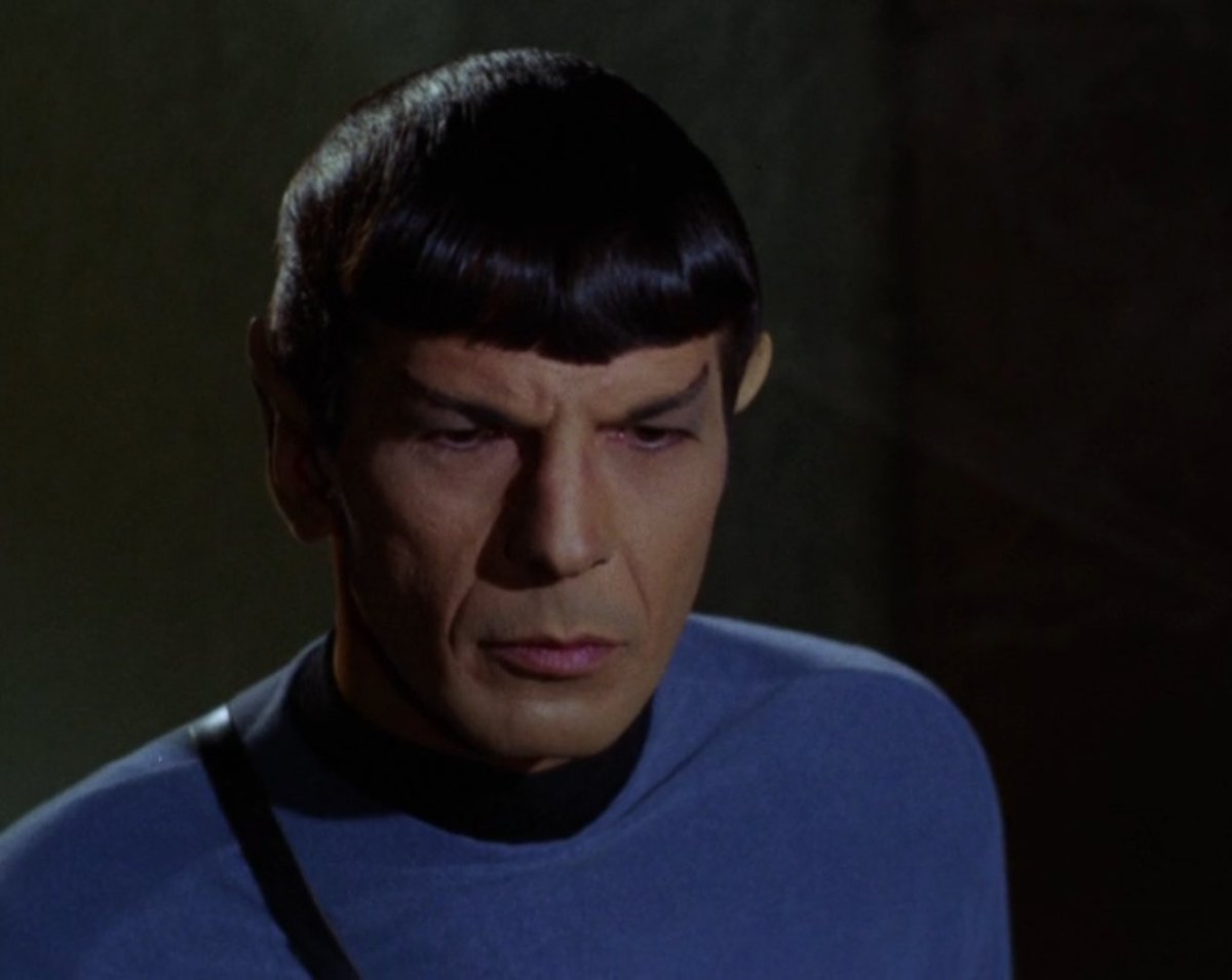 Sandmannequin 🇵🇸🇺🇦🇻🇪🇨🇺 tweet media