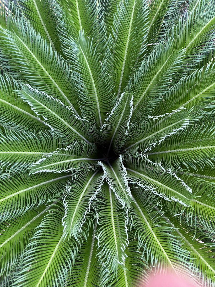 John Roberts tweet media