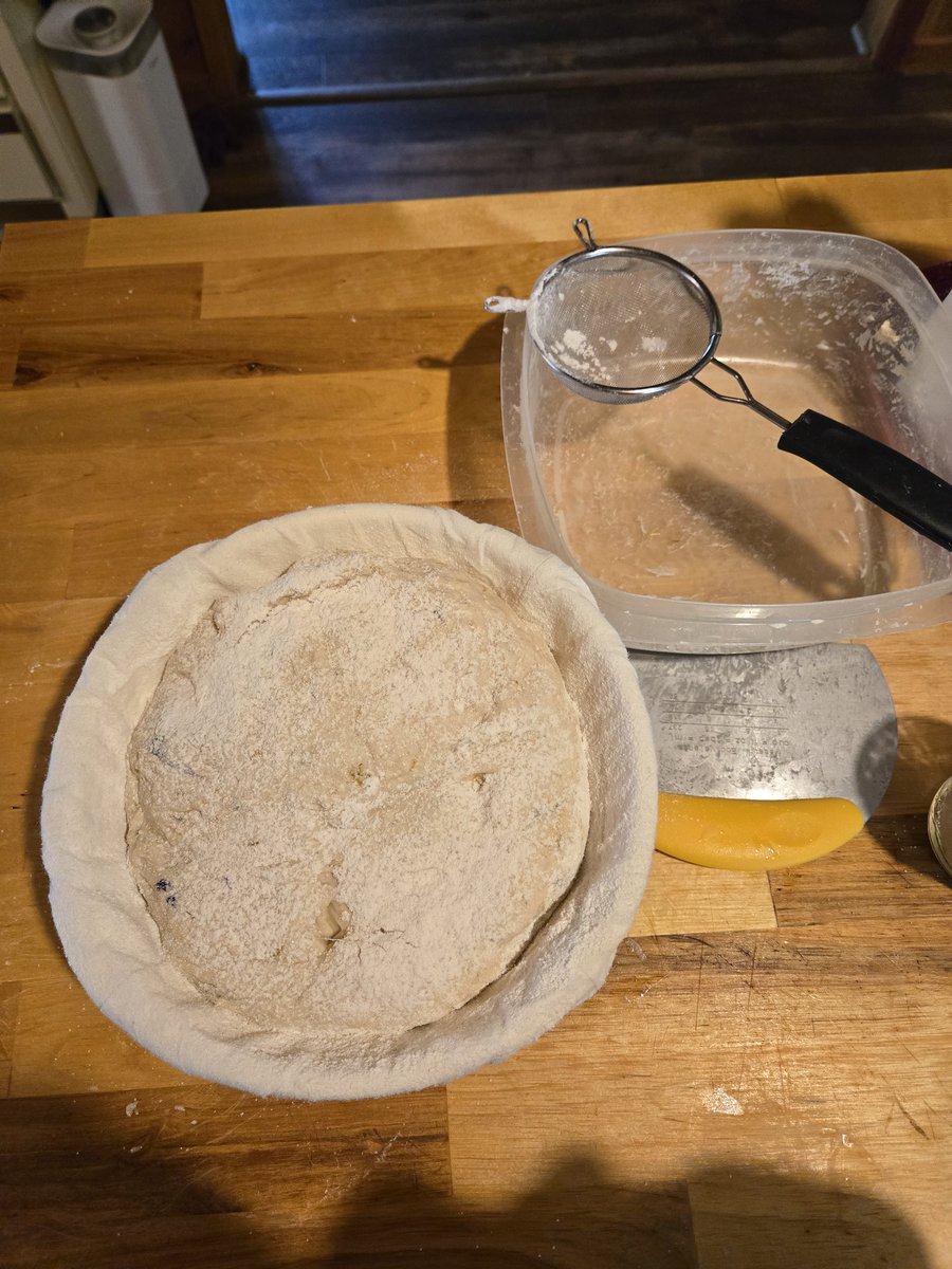 Spring time sourdough experiment ❤️ Applewater sourdough sweetened with dandelion syrup,  with a dandelion petal, wild violet, cardamom inclusion (grok helped me with the recipe). It's cold retarding now and tomorrow I'll bake it and see how it turns out.