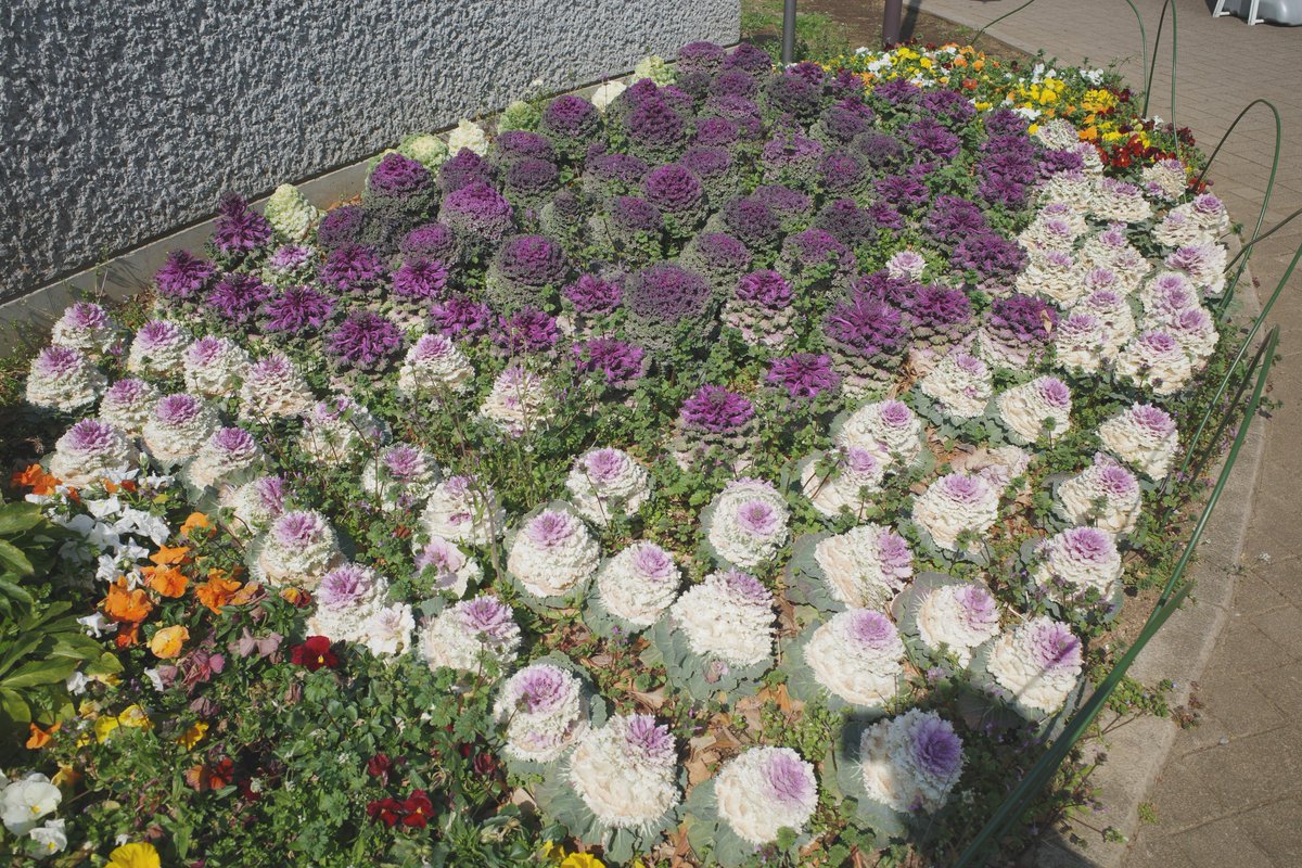 おはようございます！
良い週末をお過ごし下さい！

#写真好きな人と繋がりたい
#写真撮ってる人と繋がりたい
#スナップ

📸GRⅢ