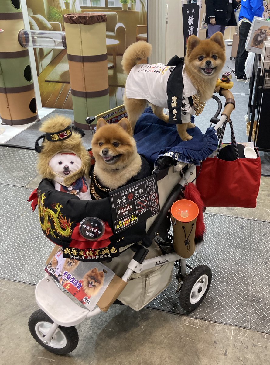 KAORI❤︎002 (@r3qnnoayYVBYSNA) / Posts / X