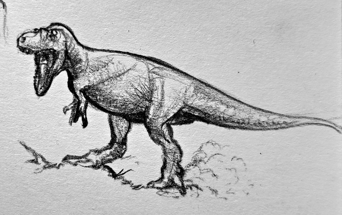 petrovenator's tweet photo. Quick sketch 
#paleoart https://t.co/of7gS5FIJN