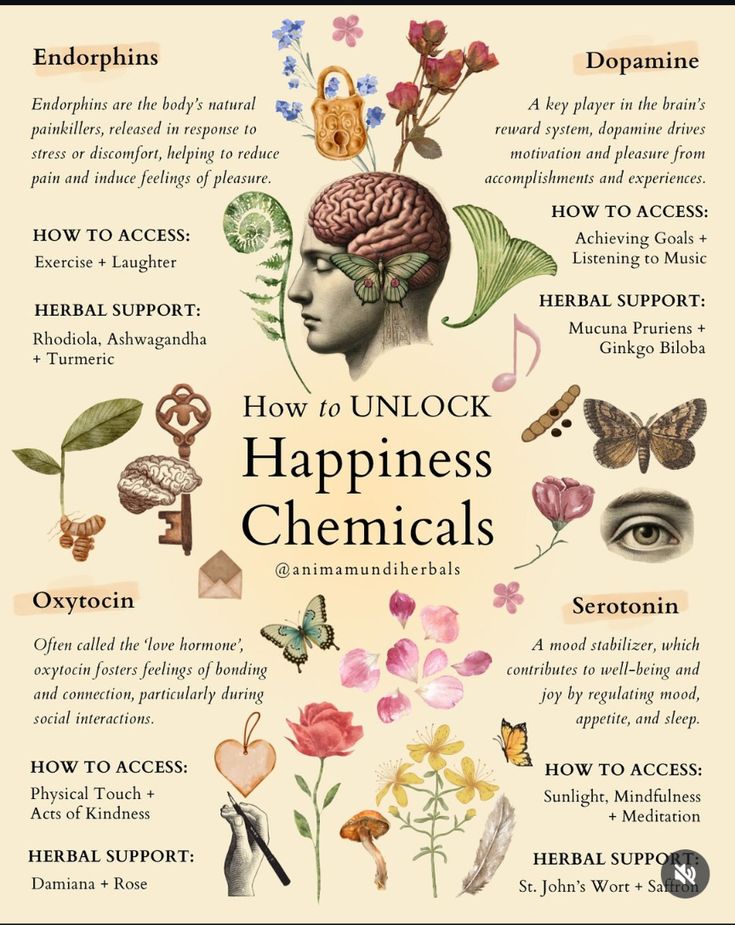 neuronpowers's tweet photo. Happiness Chemicals

Endorphins 
Dopamine
Oxytocin
Serotonin https://t.co/D8N3snEWzO
