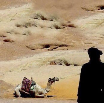 عبد الله بن أريقط رجلا مشركا استعمله الرسول ﷺ دليلا في هجرته للمدينة، في جوّ عال من المخاطر يستهدف حياته.

بحثتُ في أسباب الاعتماد عليه 🤔 !
فوجدتها فقط ثقة في مروءته وشهامته .

فصاحب الشهامة تثق فيه ولو كان مخالفا لك في الدين 
وفاقد المروءه والشهامة لا تثق فيه ولو كان على دينك.