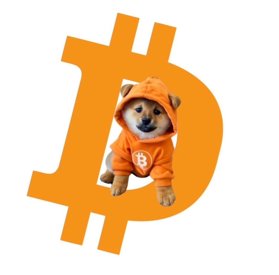 Pixeell's tweet photo. $DOG on #Bitcoin ! https://t.co/9CnwychsUD