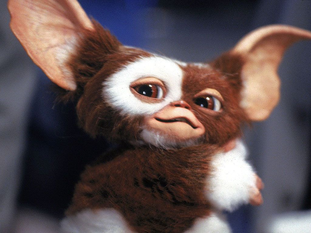 'GREMLINS 3' is in development 

(Via: <a href="/DEADLINE/">Deadline</a>) #Gremlins3