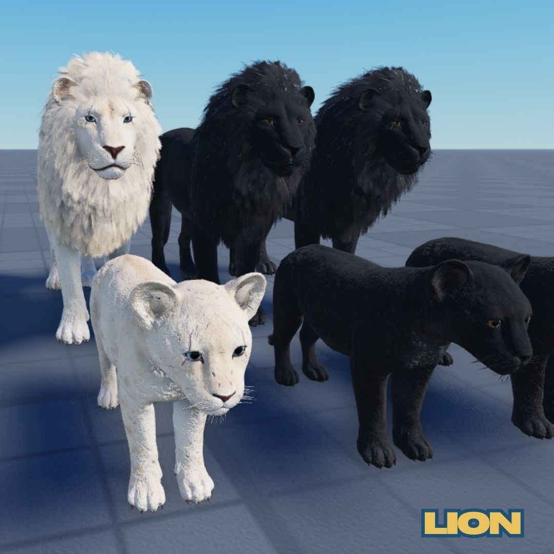 NOYO_Production's tweet image. 🦁 Sneak Peek: New Lion Skins Incoming! 👑🔥
These skins will give your lion a whole new vibe.
⏳ Release date? Still a surprise... but it’s coming soon! 👀
#SavannahLife #Roblox #NOYOProductions #WildlifeGaming #RobloxAnimals #NewSkins #LionRemodel