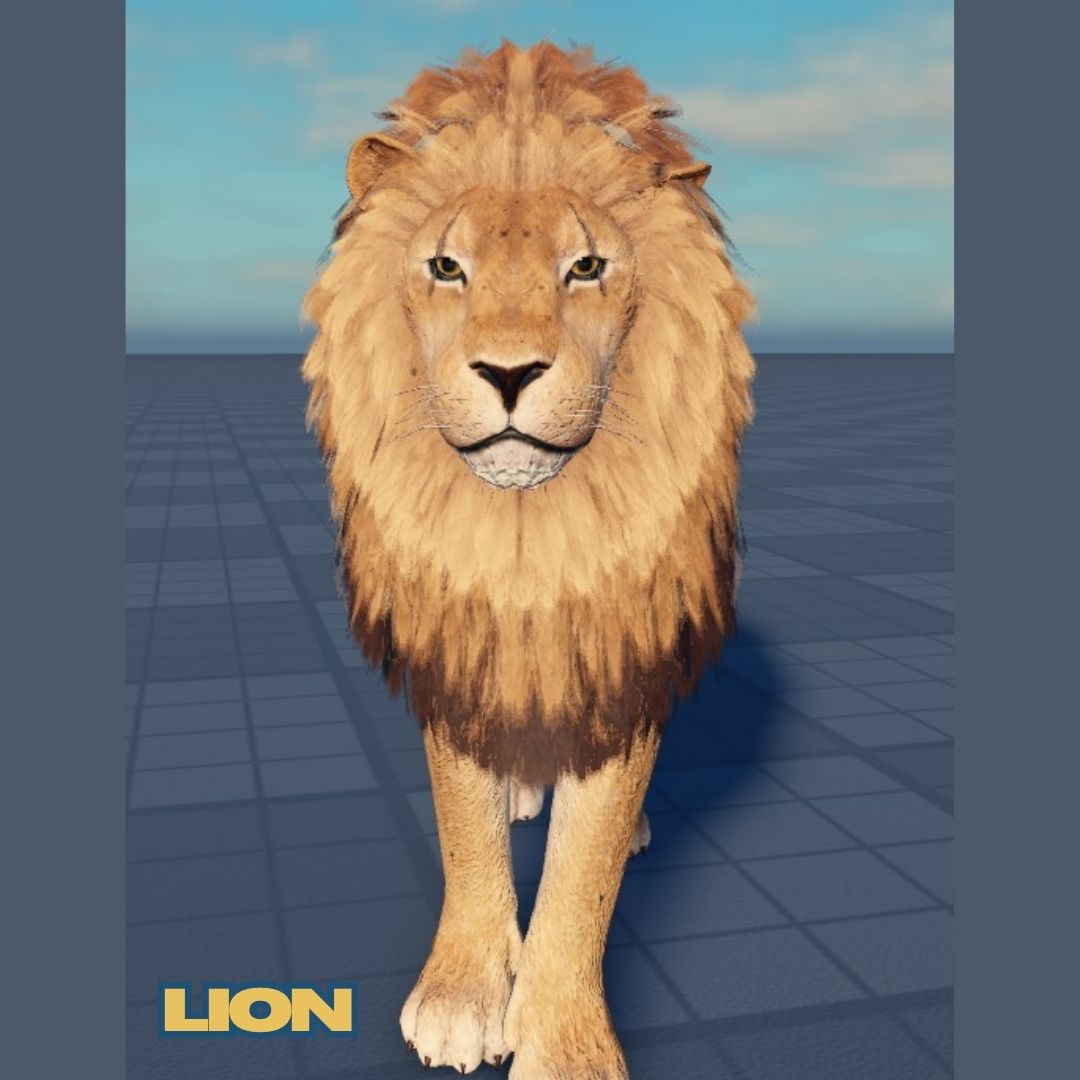NOYO_Production's tweet image. 🦁 Sneak Peek: New Lion Skins Incoming! 👑🔥
These skins will give your lion a whole new vibe.
⏳ Release date? Still a surprise... but it’s coming soon! 👀
#SavannahLife #Roblox #NOYOProductions #WildlifeGaming #RobloxAnimals #NewSkins #LionRemodel