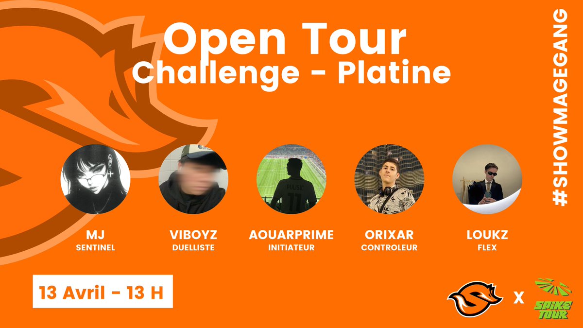 ShowMageGang tweet media