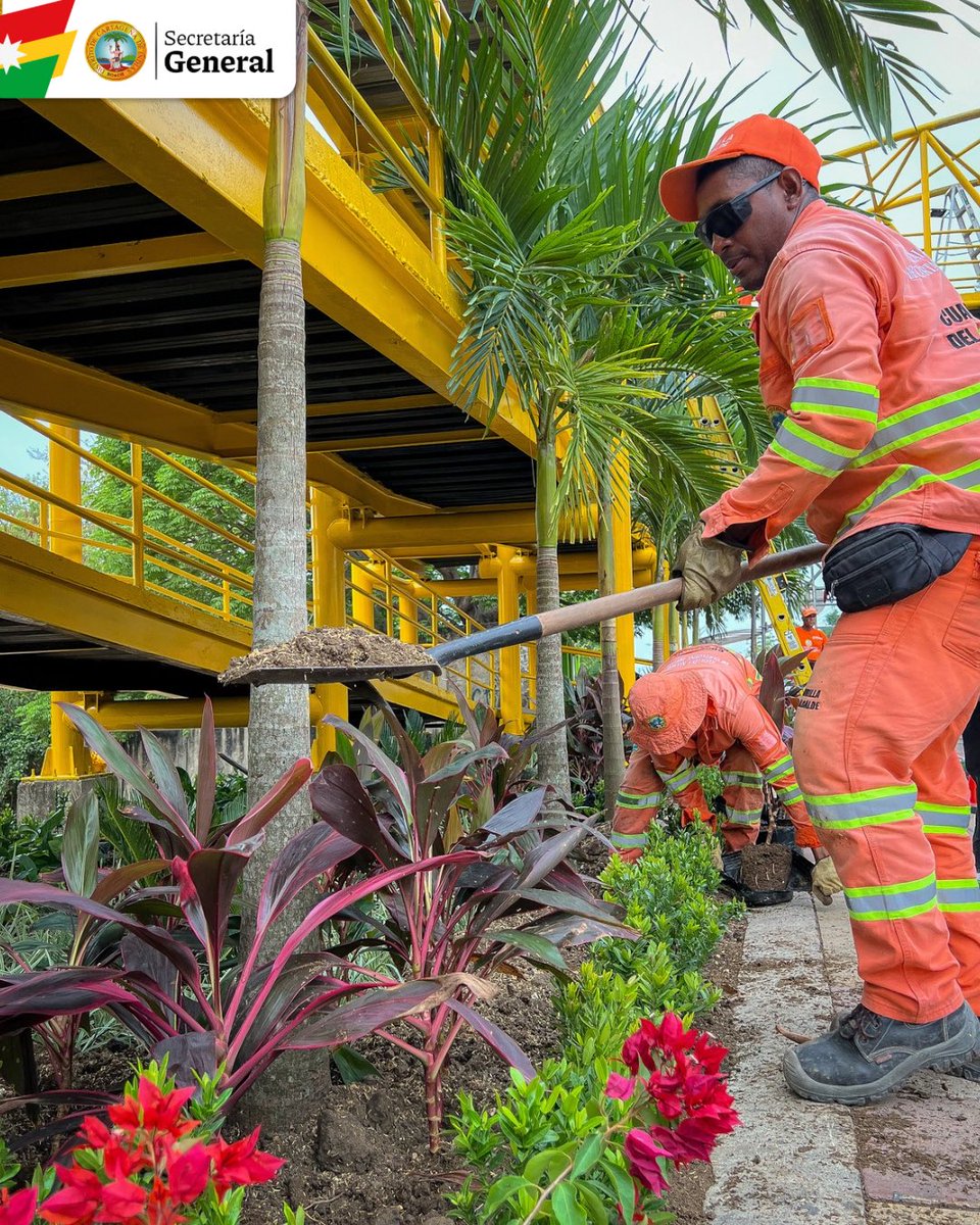 Secretaría General de Cartagena tweet media