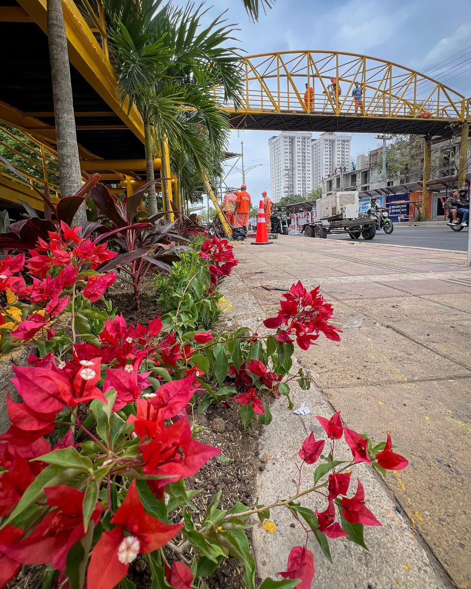Secretaría General de Cartagena tweet media