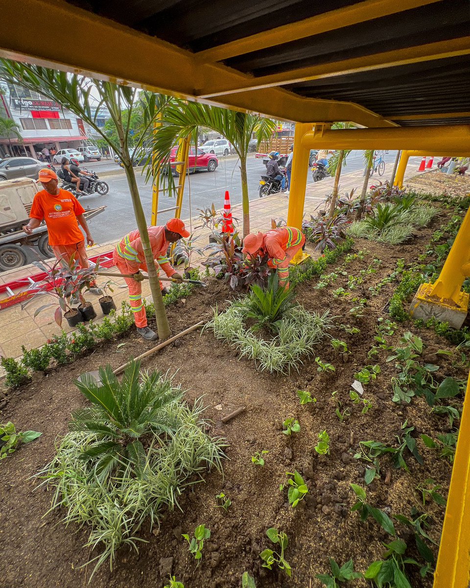 Secretaría General de Cartagena tweet media