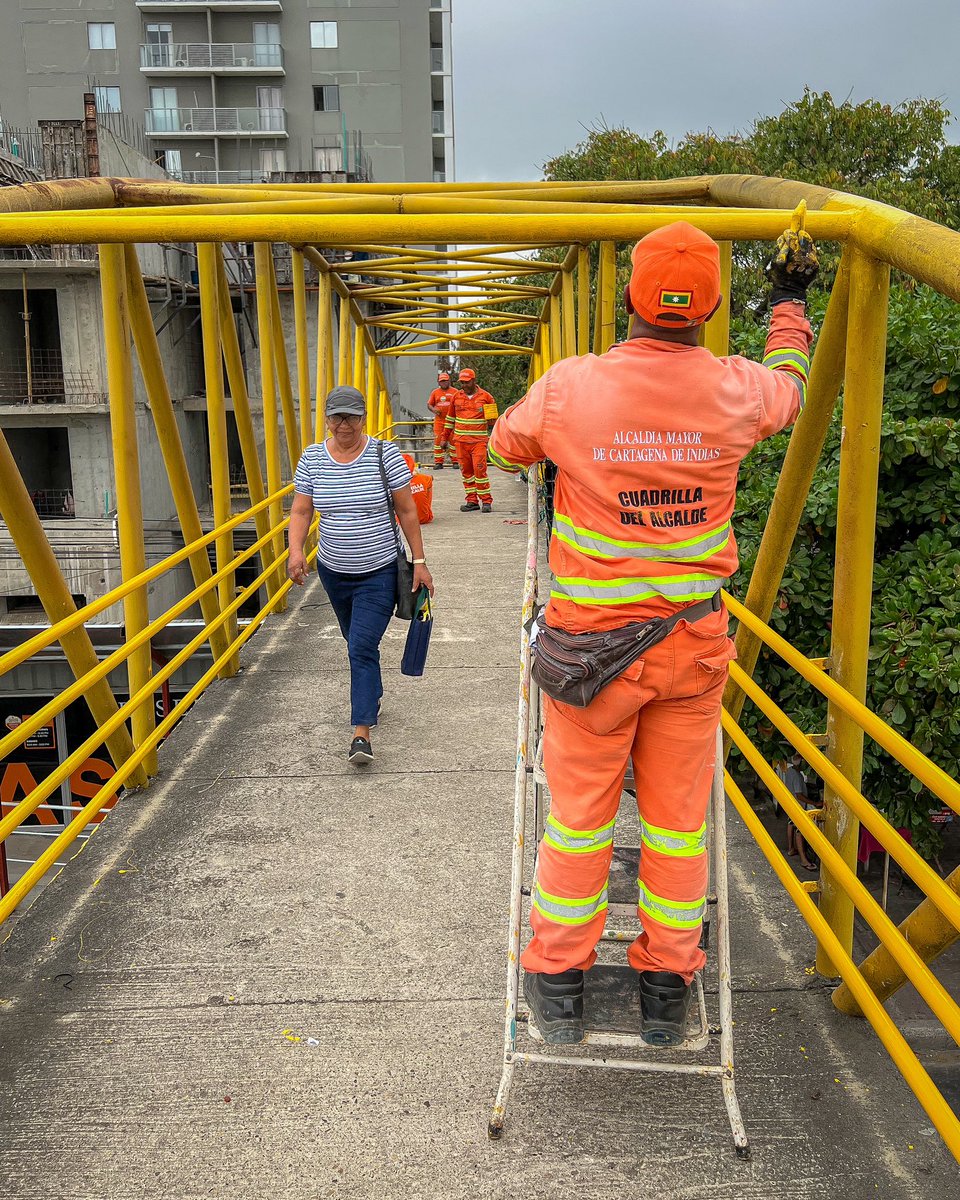 Secretaría General de Cartagena tweet media