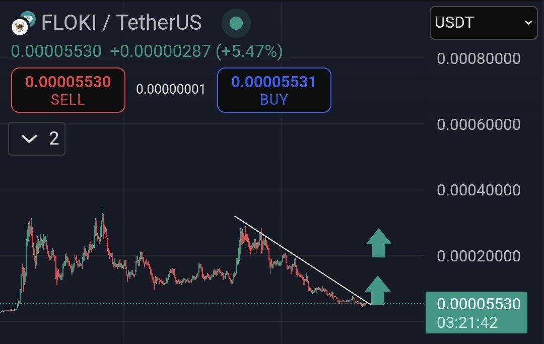 $SHIB KNIGHT tweet media