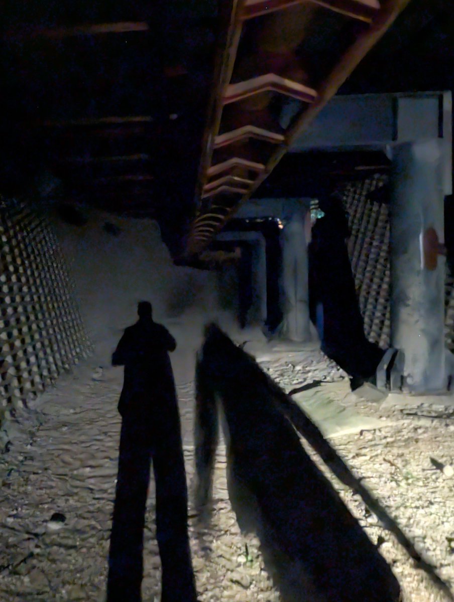 ChessingtonBuzz's tweet photo. Final part of the tour shortly... Tomb Blaster
Just finished lift hill and tunnel in an eerie empty park
Definitely getting our value for money tonight
#Vampire35
#VIPExperienceBTS https://t.co/oAS17pIDlC
