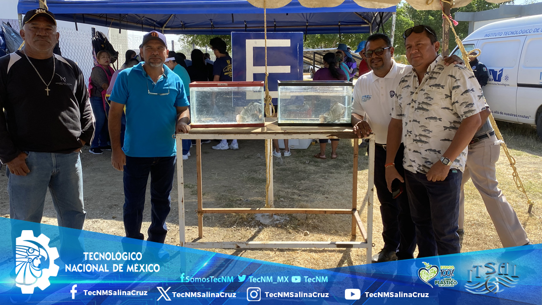 SEGUNDA COSECHA DE MOJARRA TILAPIA ITSAL 2025

salinacruz.tecnm.mx/segunda-cosech…
