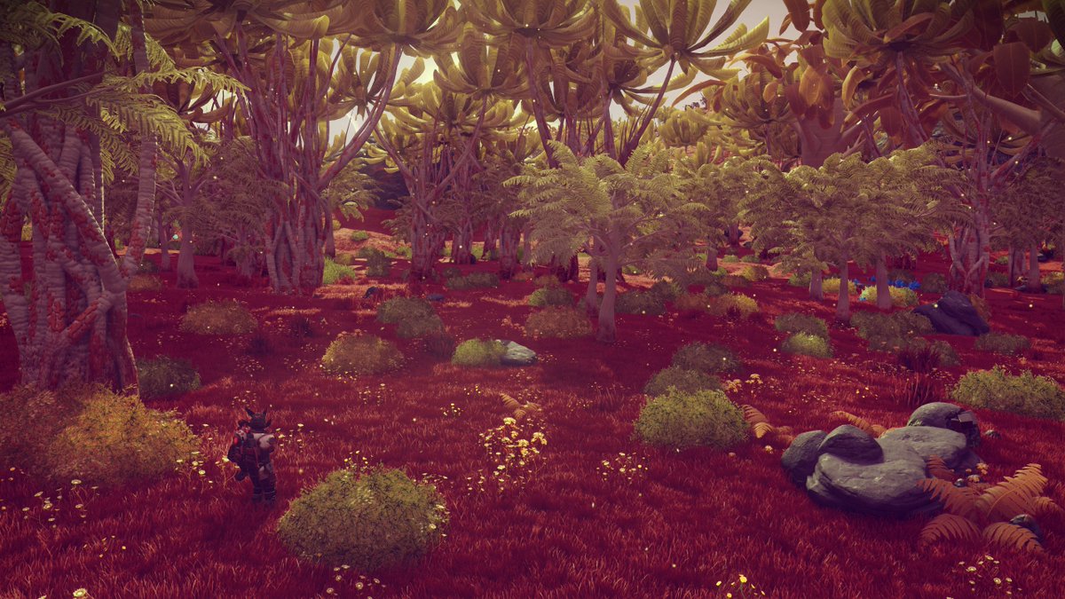 Man, this expedition!😍 #NoMansSky <a href="/NoMansSky/">Sean Murray</a> <a href="/hellogames/">Hello Games</a>