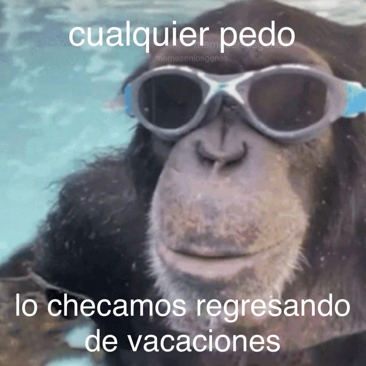 memes feos yo qué sé (@memefeos) on Twitter photo 