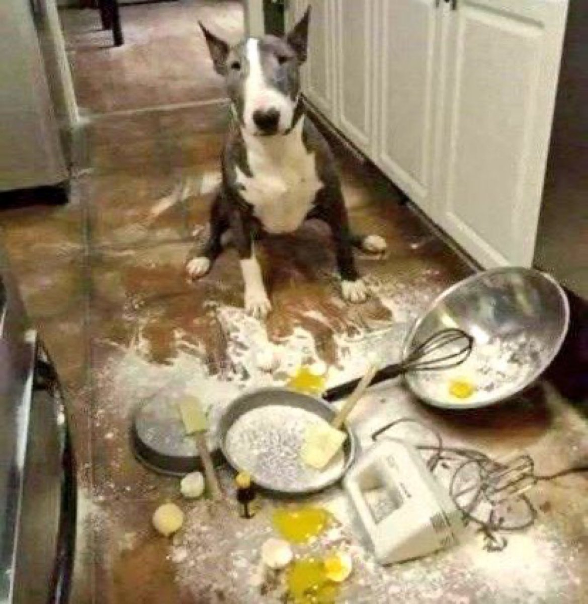 “I'm making a quiche, Lorraine, what does it look like I'm doing”