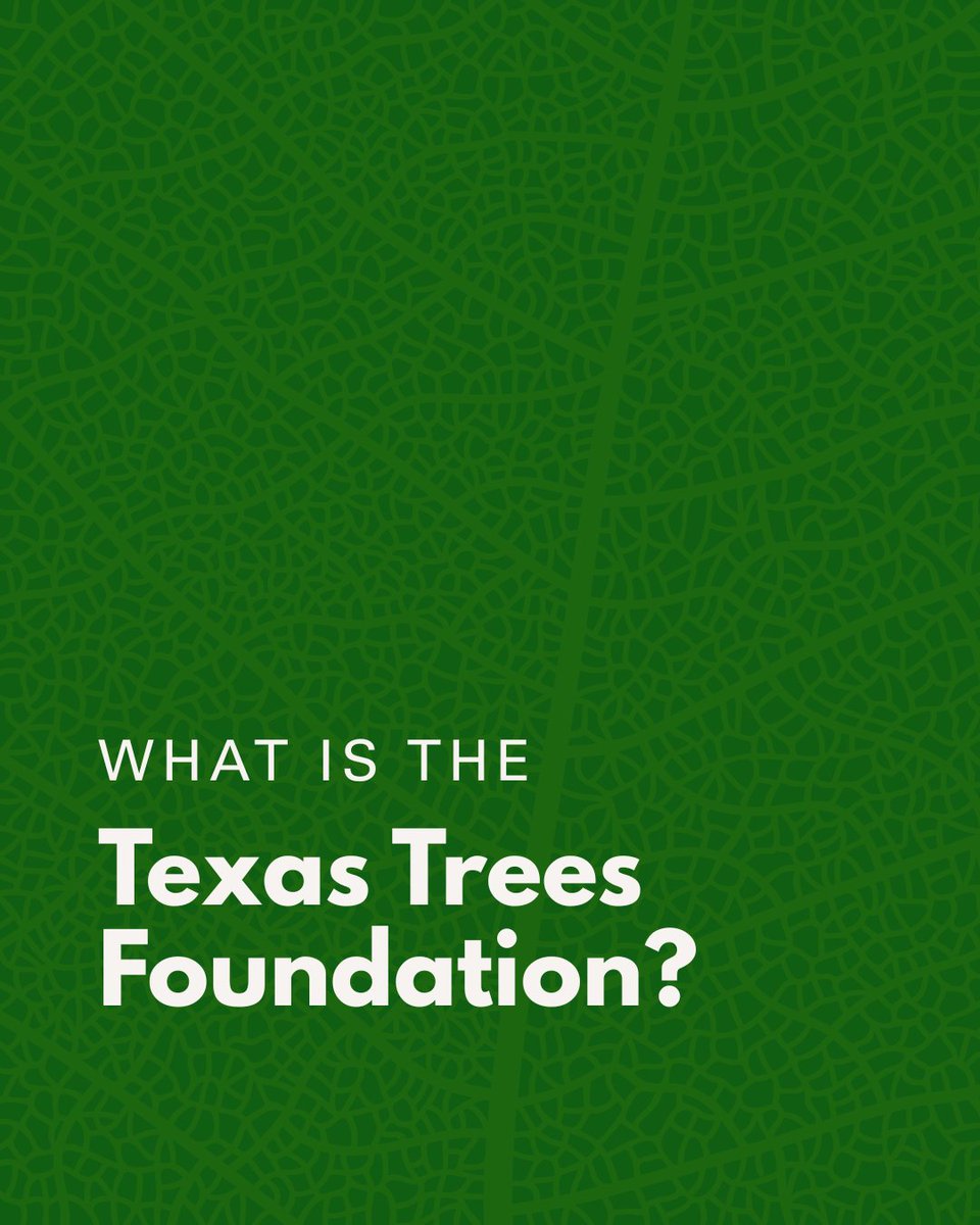 Texas Trees Foundation tweet media