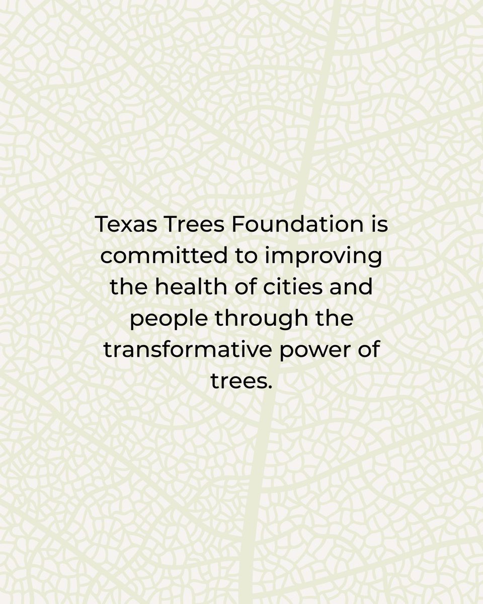 Texas Trees Foundation tweet media