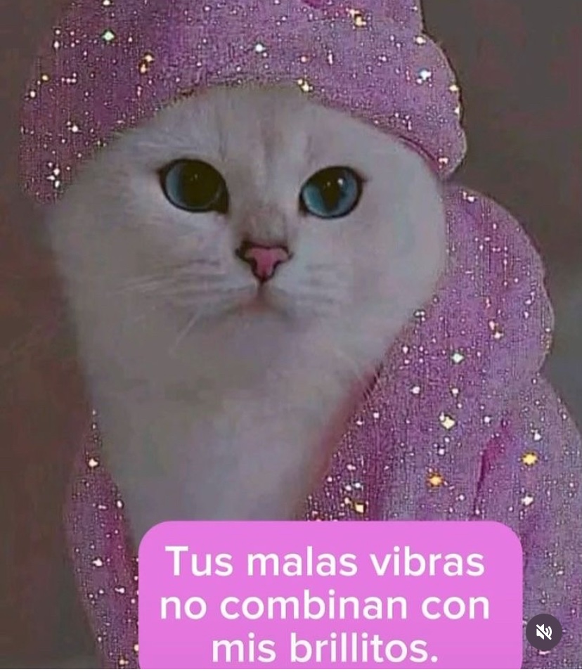 PalasParaTodes's tweet photo. @Nicoo__sc Aca les dejo la plantilla para responderles a esta lora 
Un problema del morenismo en redes es q se gastan en hacer algo más q contestar con un meme a alguien q no tiene el coeficiente intelectual ni recursos emocionales aptos para más q esto https://t.co/V4DN6N2Gmi
