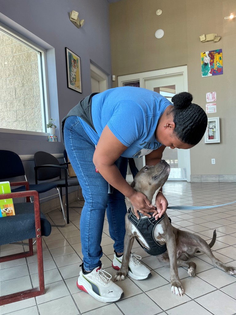 spcaLA's tweet photo. Almost three months after being dropped off at spcaLA for safe housing after the Eaton Fire, Ermias' family came to retrieve him and take him home! Best of luck!!

#FriendsforLife #spcaLA https://t.co/K6gVxP1YI3