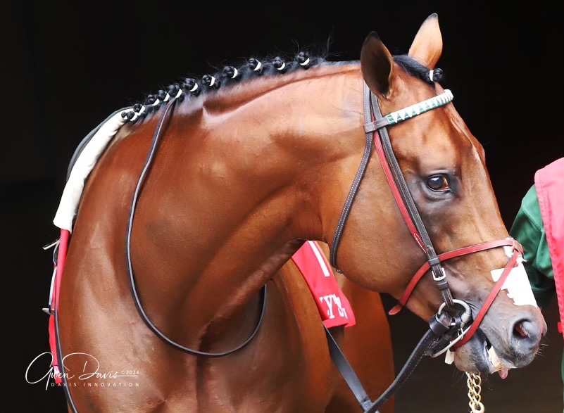 Ilium Stables (@iliumstables) on Twitter photo Flying into <a href="/OaklawnRacing/">Oaklawn Hot Springs</a>, where our Anarchist will be running in the US$500,000 Count Fleet Sprint Handicap (G3), Saturday 12 April 2025. Looking for a positive result with <a href="/FreytheF/">Kyle Frey</a> in the irons and <a href="/DougONeill1/">Doug O'Neill</a> training. Flying into <a href="/OaklawnRacing/">Oaklawn Hot Springs</a>, where our Anarchist will be running in the US$500,000 Count Fleet Sprint Handicap (G3), Saturday 12 April 2025. Looking for a positive result with <a href="/FreytheF/">Kyle Frey</a> in the irons and <a href="/DougONeill1/">Doug O'Neill</a> training.