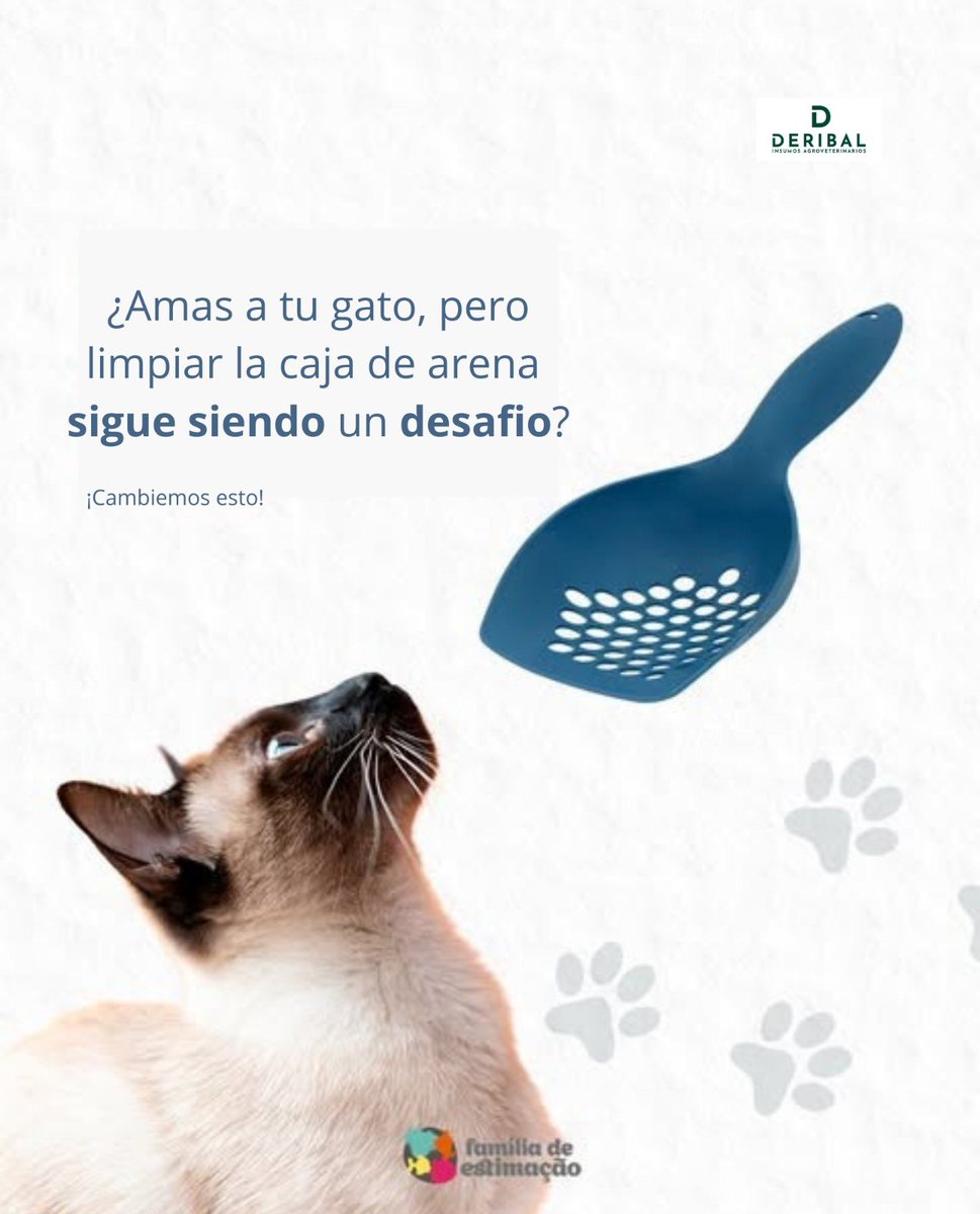 deribalsa's tweet photo. 🐾 ¿Estás limpiando la caja de arena de tu gato de la manera correcta?

¡Con CAT SHOVEL, todo se vuelve más fácil, rápido e higiénico! 😺✨
Cuida a tu mascota con practicidad y amor. 💙
#FamíliaDeEstimação #CuidadosConPets #Gatosfelices #TipPet #Amomipet https://t.co/06K4scQ19q
