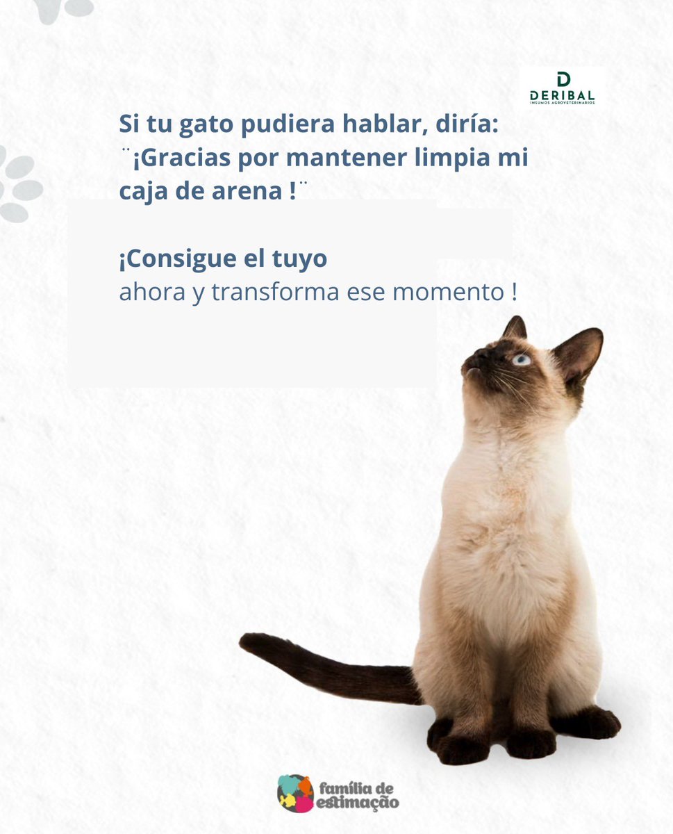 deribalsa's tweet photo. 🐾 ¿Estás limpiando la caja de arena de tu gato de la manera correcta?

¡Con CAT SHOVEL, todo se vuelve más fácil, rápido e higiénico! 😺✨
Cuida a tu mascota con practicidad y amor. 💙
#FamíliaDeEstimação #CuidadosConPets #Gatosfelices #TipPet #Amomipet https://t.co/06K4scQ19q
