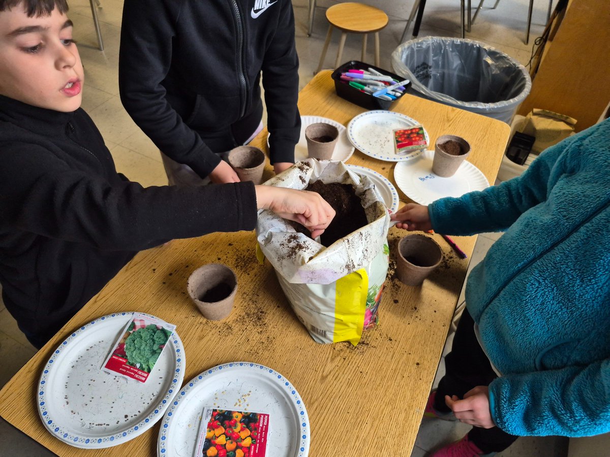 Ms. Howells tweet media