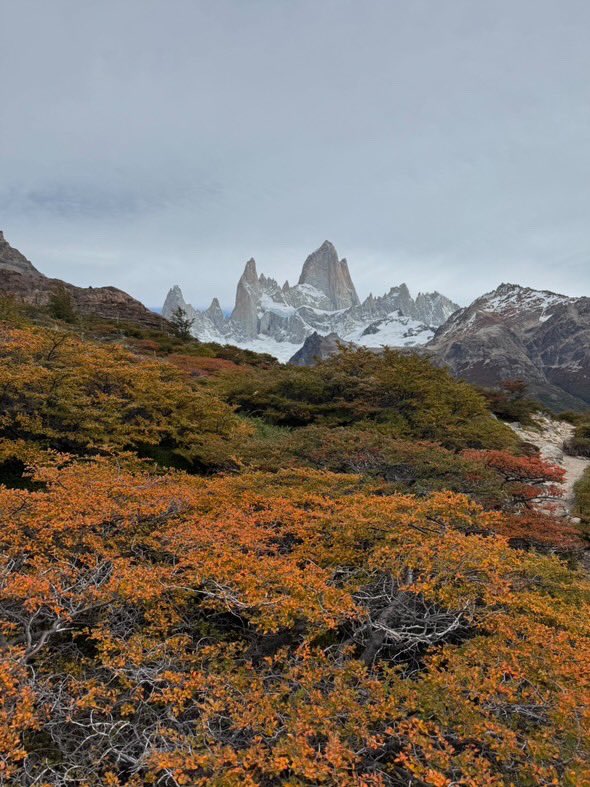 Some autumn color in Argentina taken last month by Friend of The Foliage Report Natalie Chambas!

Parts of Chile should be at peak soon!