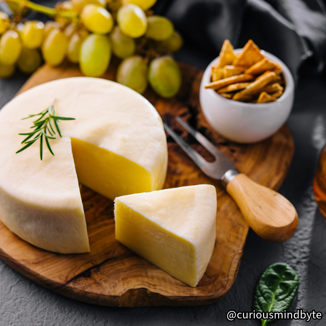 CuriousMindByte's tweet photo. Interesting Random Fact: The world’s most expensive cheese, Pule, is made from the milk of Balkan donkeys and costs over $1,000 per kilogram. #FoodFacts #PuleCheese https://t.co/HT1YJ4wfh1