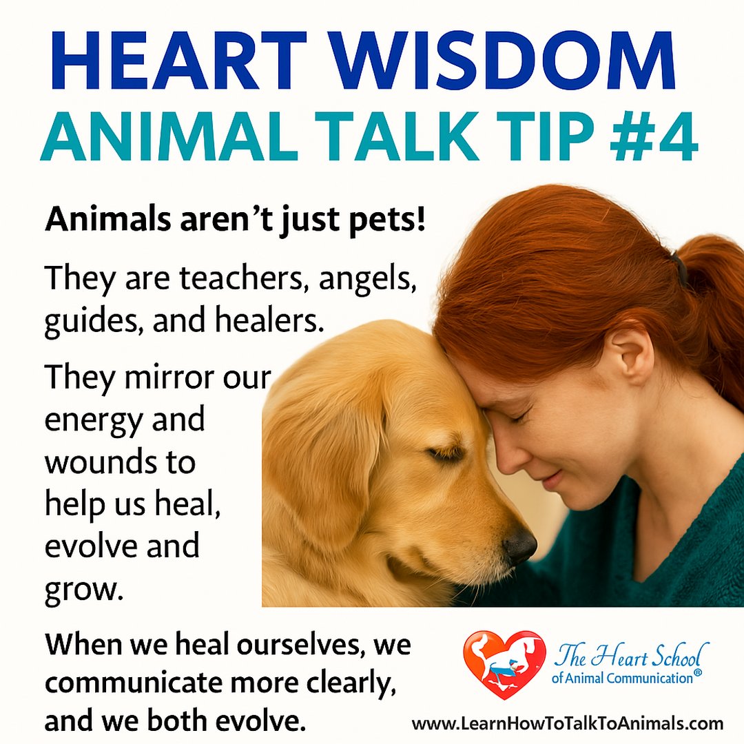 Val_Heart's tweet image. 🐾 Join us and experience the transformation for yourself! 👉 [Sign Up Now] Your next breakthrough awaits. 💙go.learnhowtotalktoanimals.com/animal-talk-co…