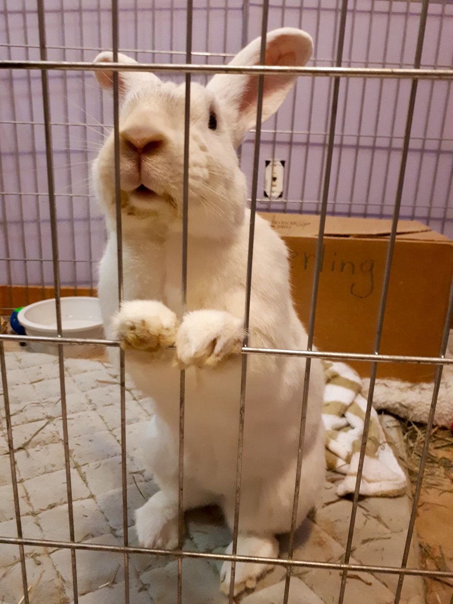 FREE ME FROM BMI 20 JAIL